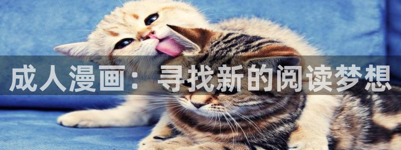 歪歪汗汗漫画入口：成人漫画：寻找新的阅读梦想